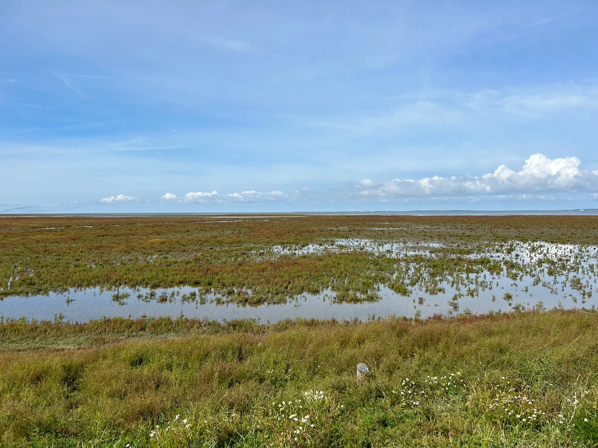 5-daagse Haiku & Wandelretraite