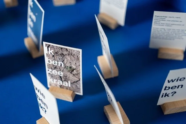 Expositie Kwelderstation