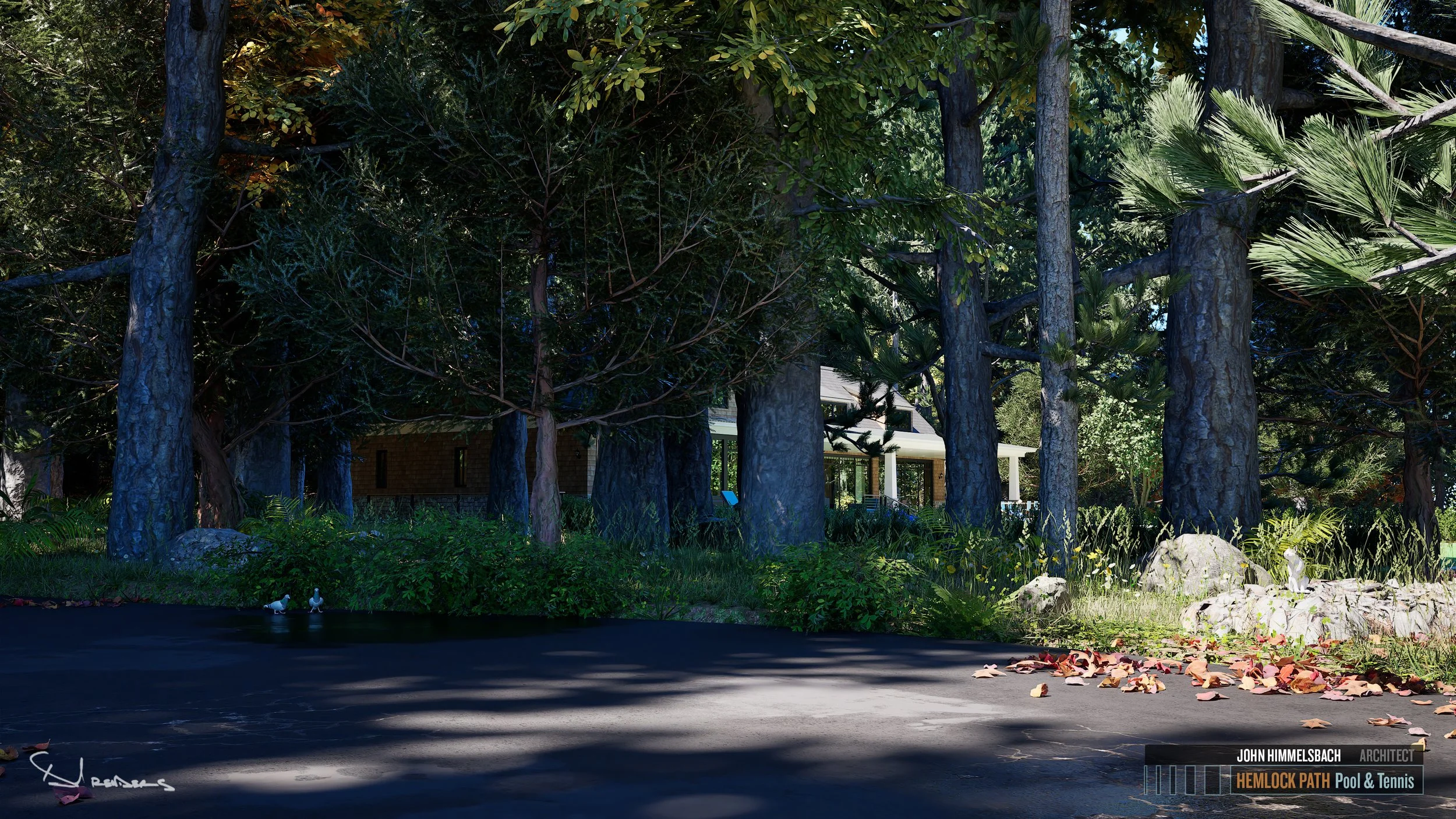 4-Northwestern View from Neighbor's Road.jpg