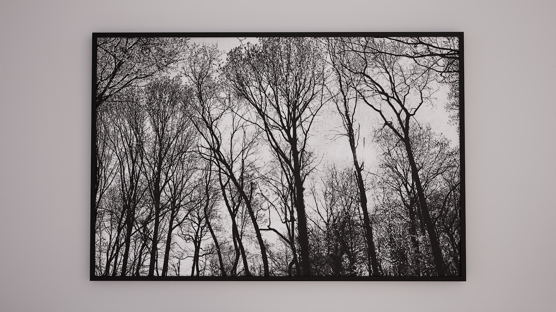 Sunlight 1 BW Framed 1.png