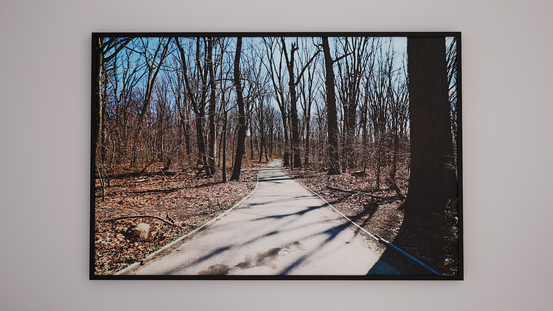 Cunningham Path 2 Framed 1.png