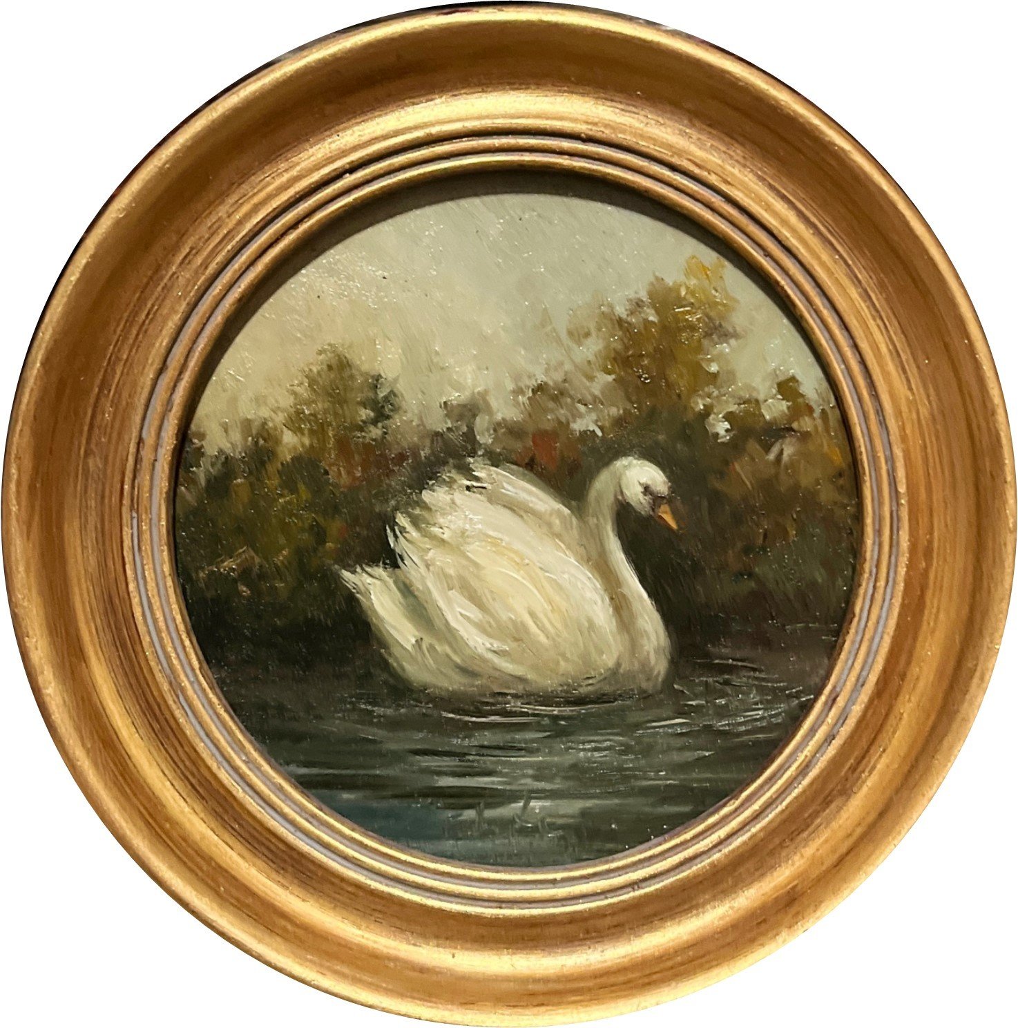 Swan in the Evening N4.jpg