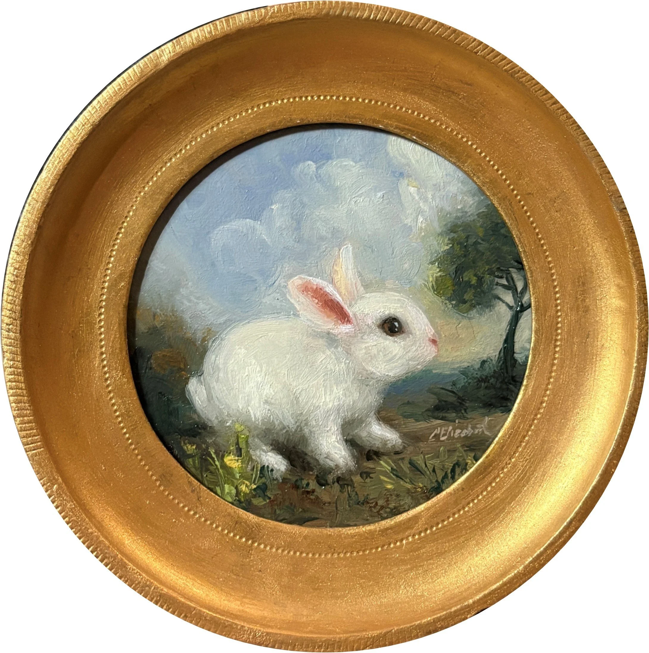 Rabbit in the Garden 172.jpg