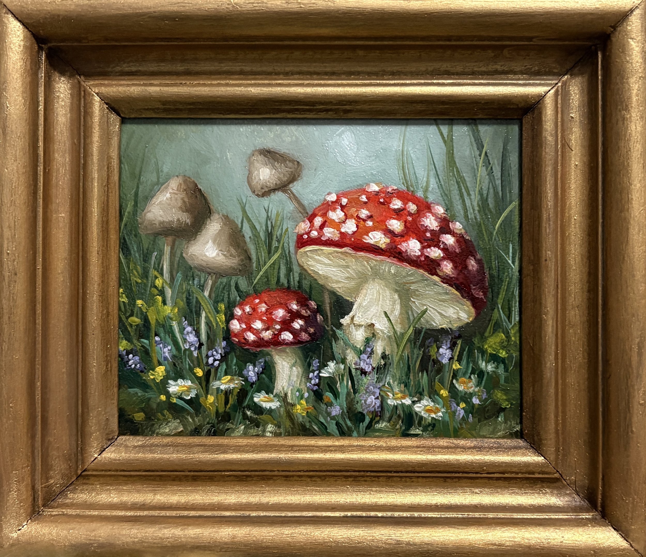 Amanita Muscaria No 11.jpeg