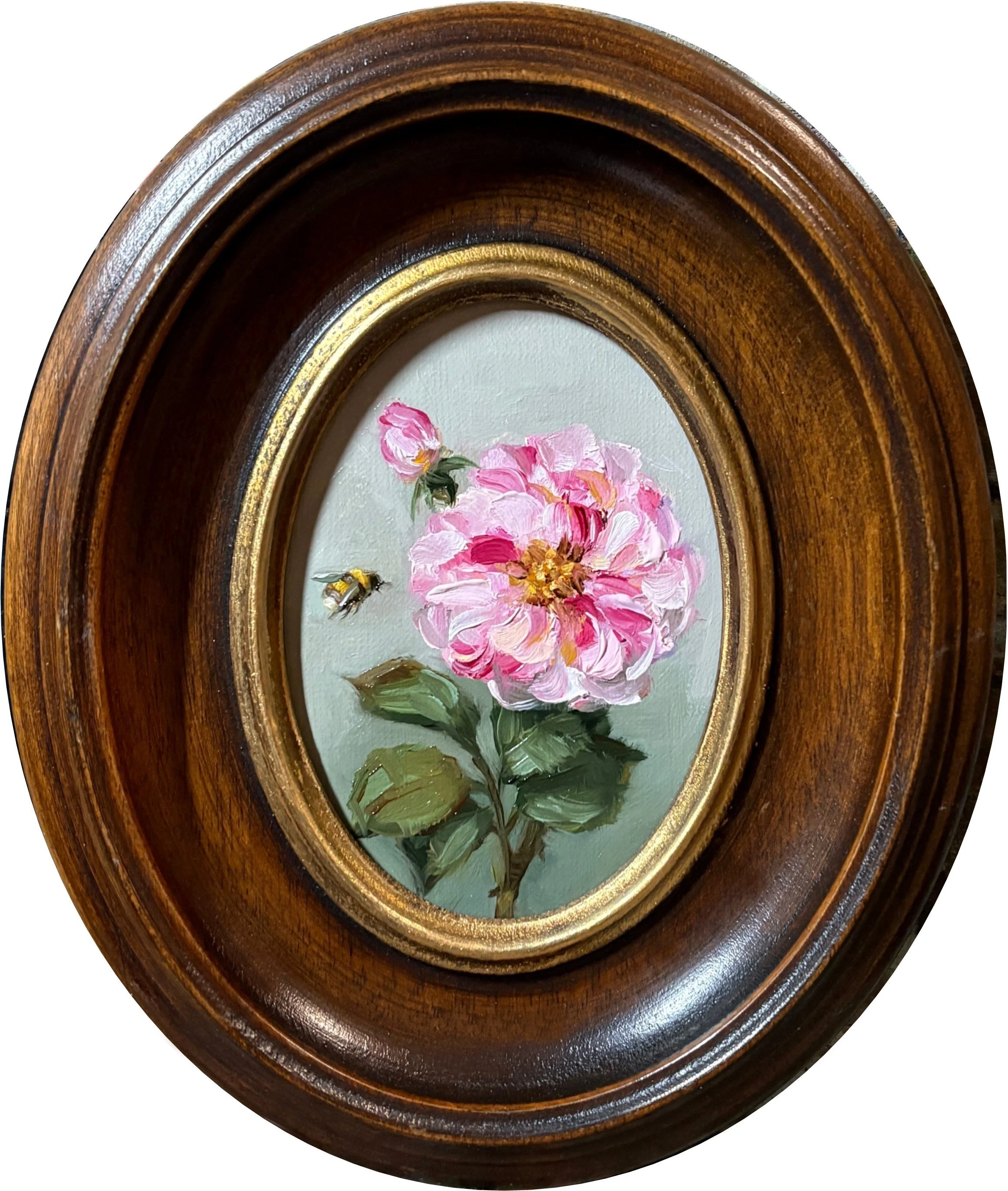 Rosa Mundi and Bee, Oil Painting