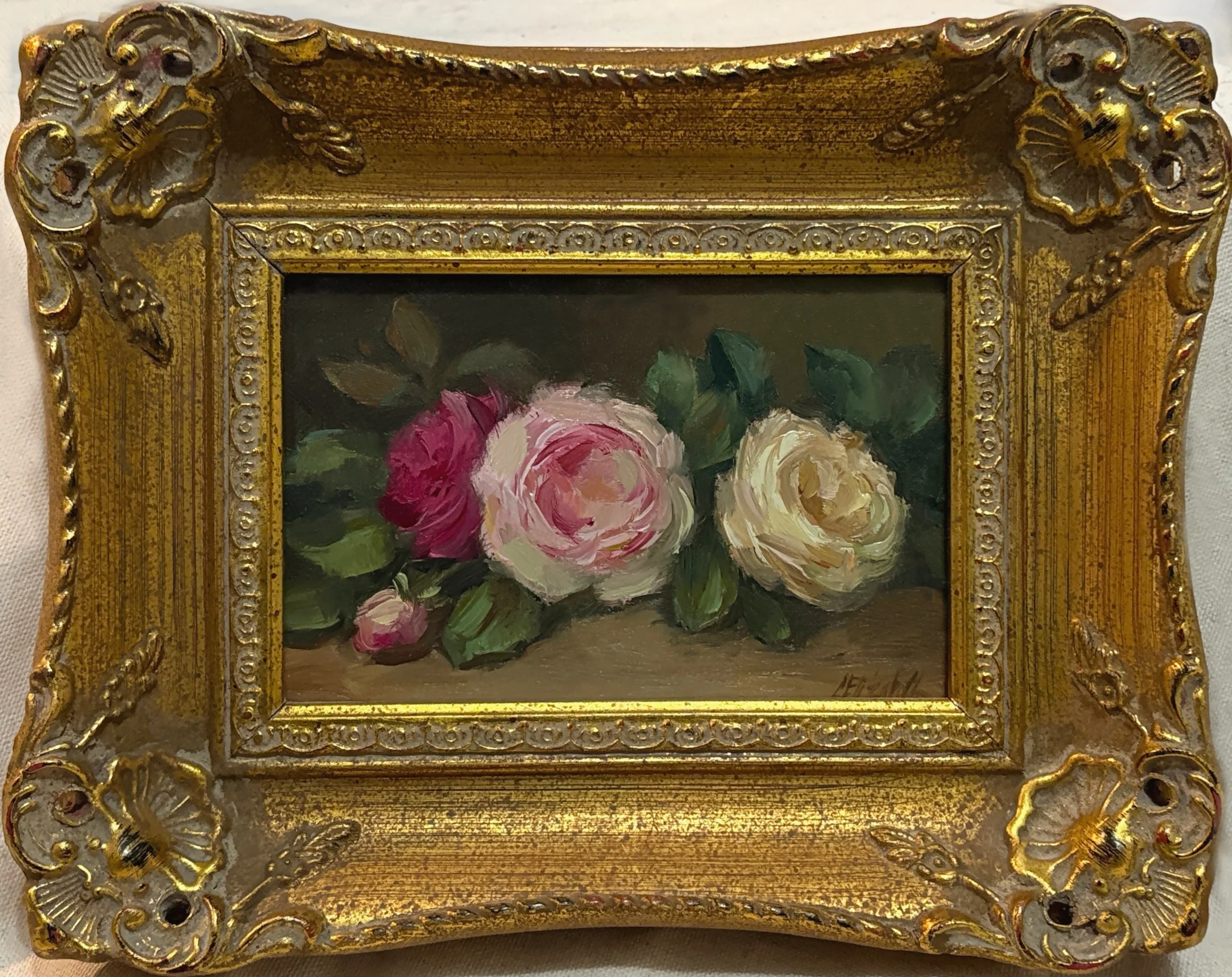 Garden Roses in Spring.jpg