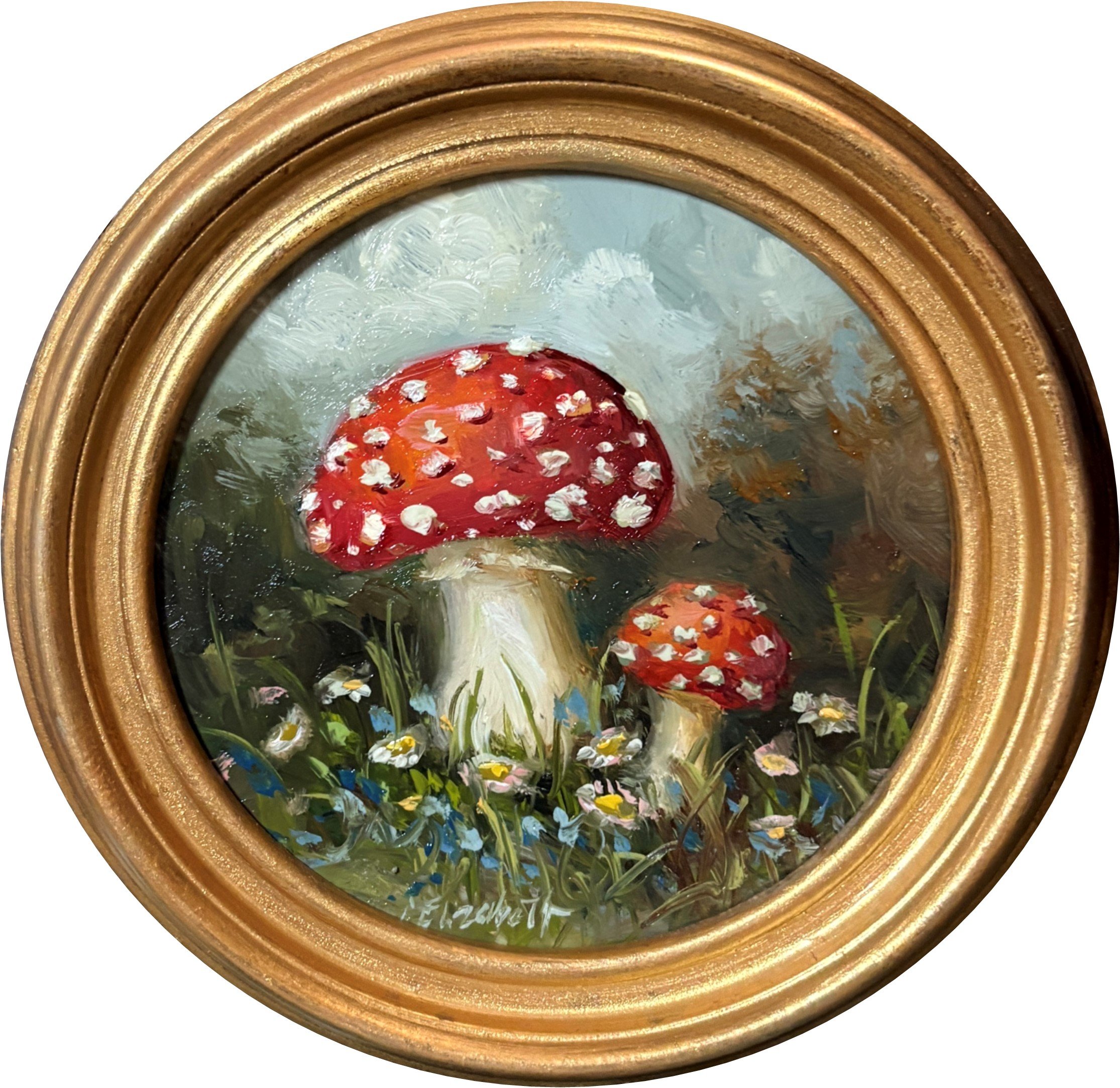 amanita N.22.jpg