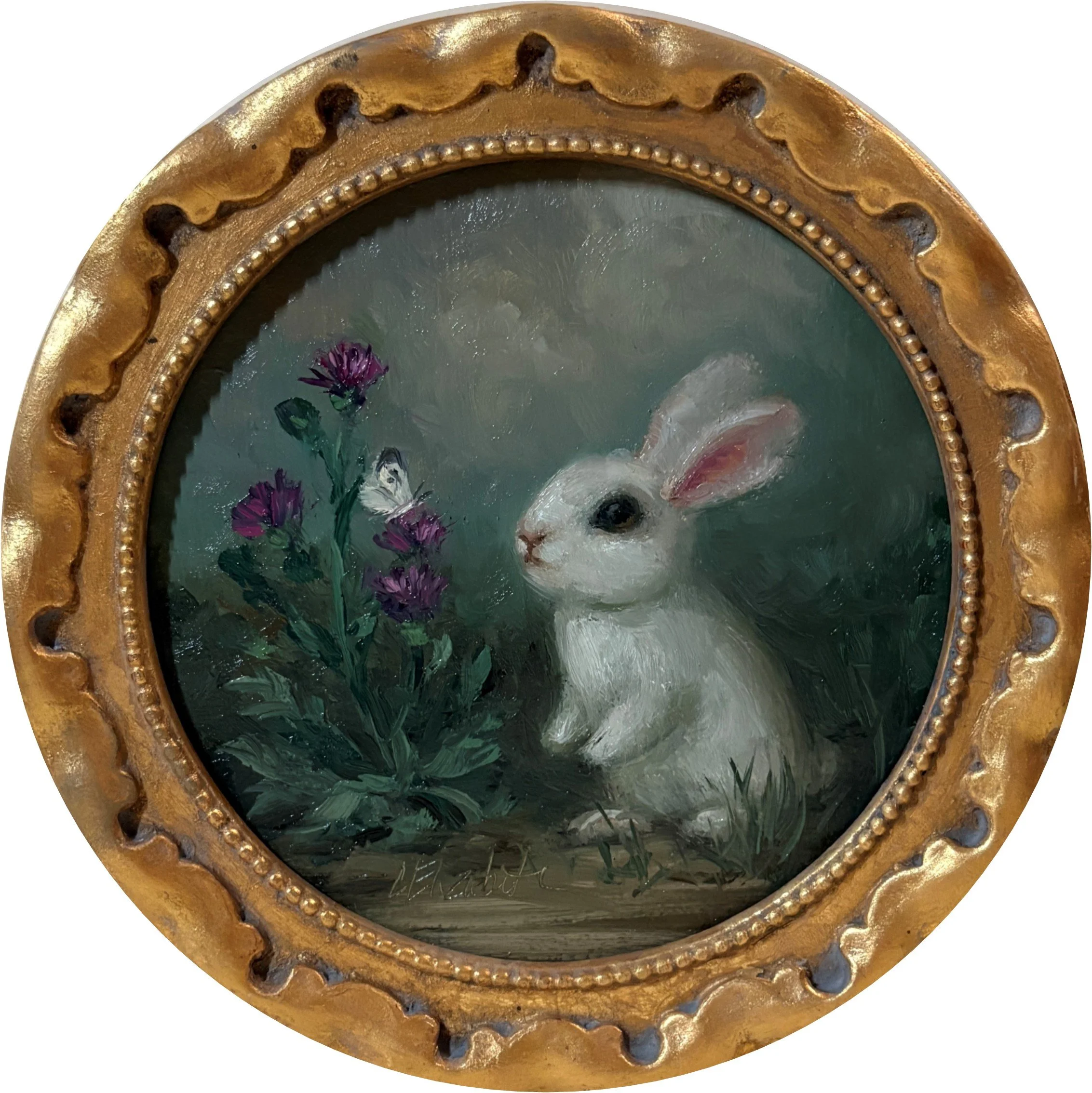 Rabbit in the Garden N160.jpg