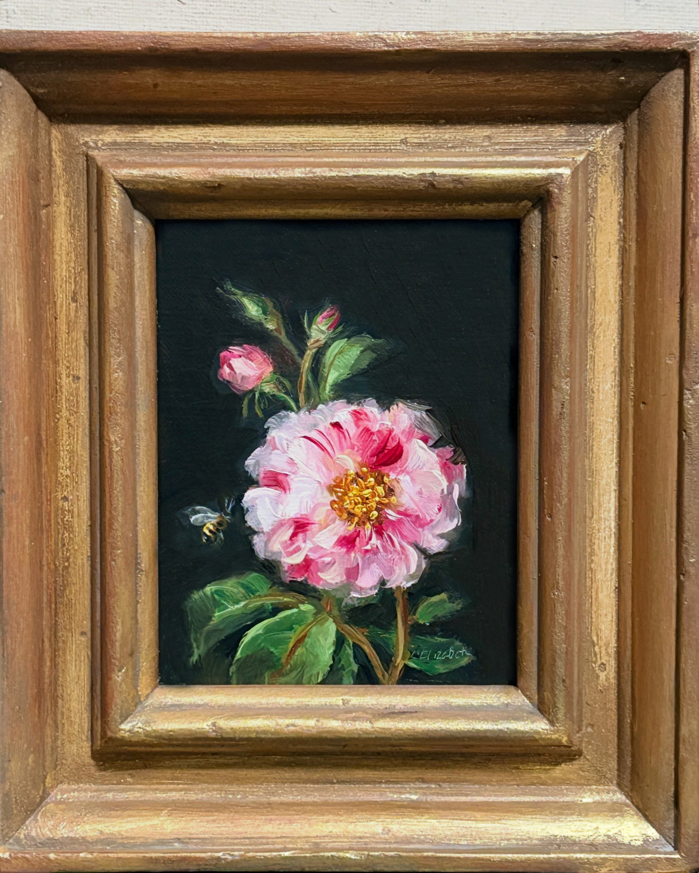 Botanical N 5 Rosa Mundi and Bee.jpeg