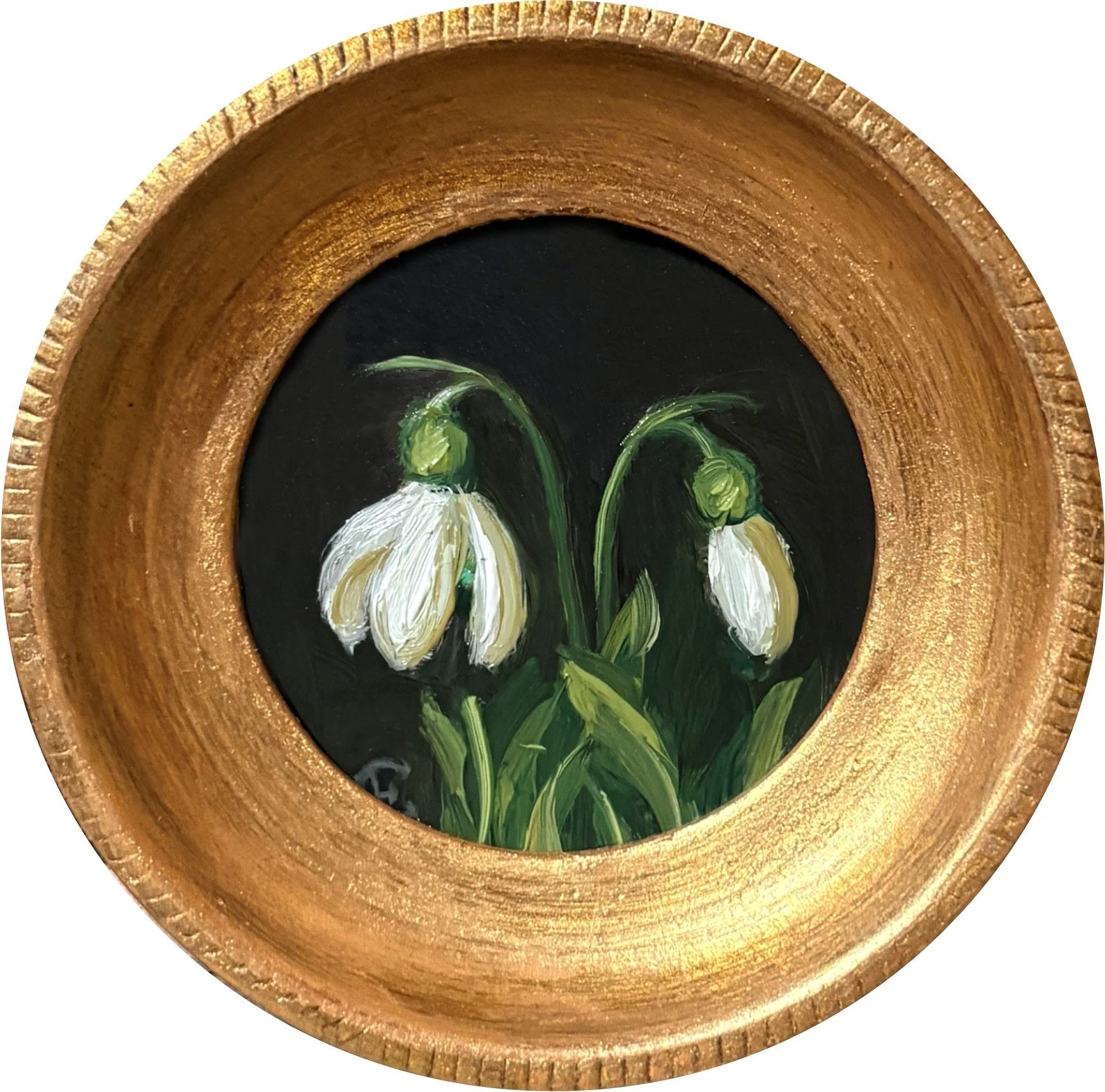 Snowdrops in February.jpg