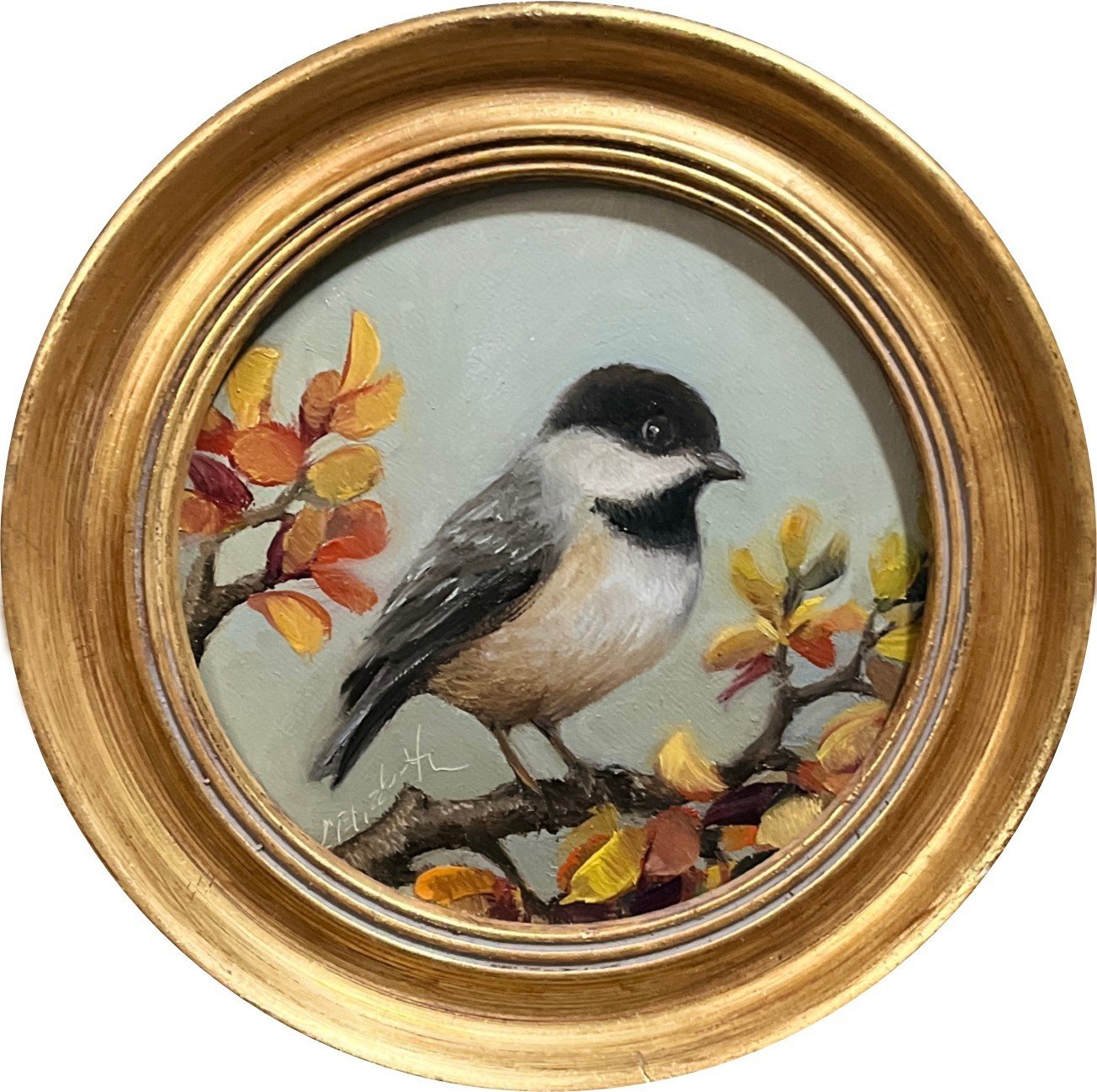 Carolina Chickadee in the Fall.jpg