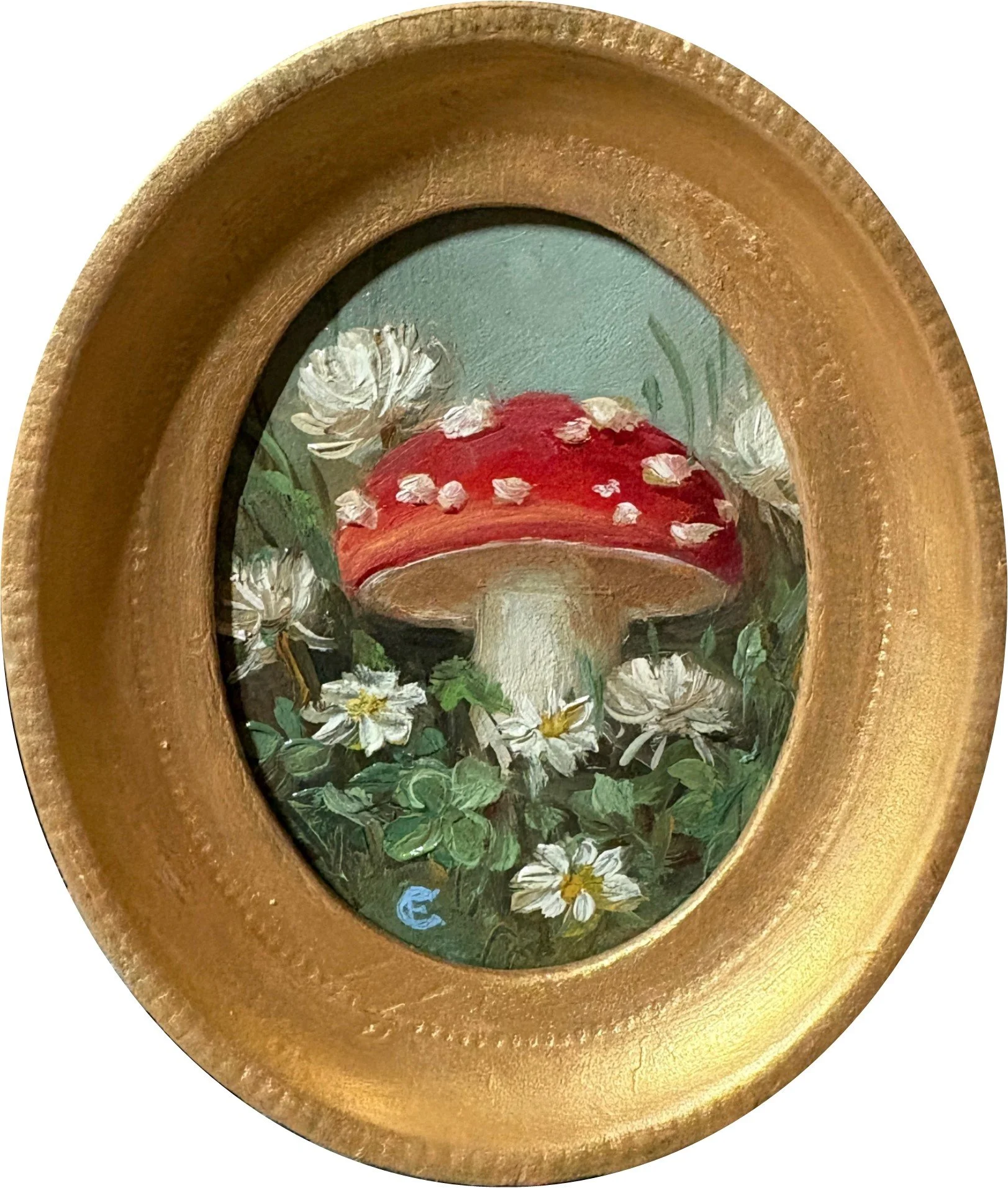 Amanita Muscaria N 32.jpg