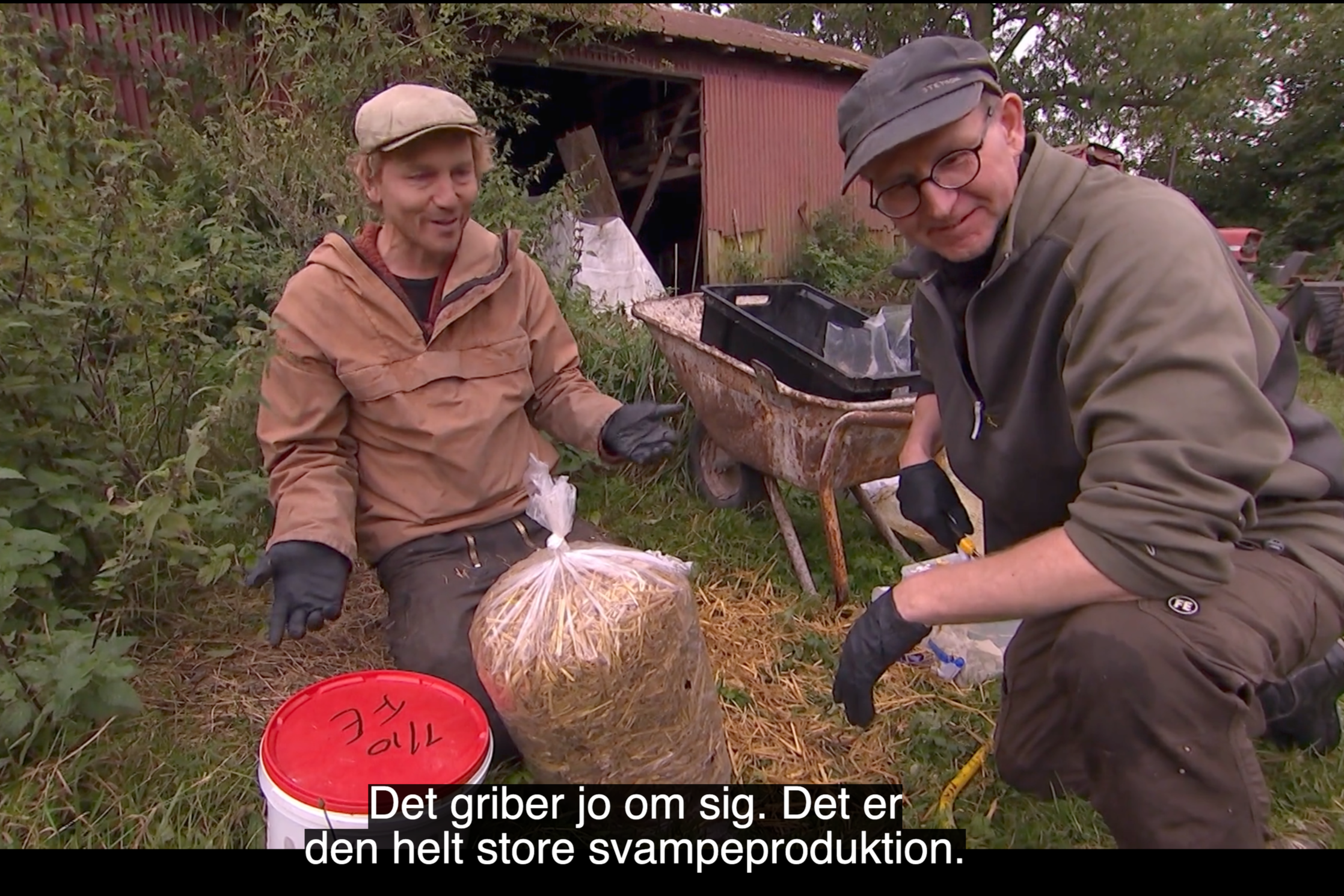 Frank og Kastaniegården del 2