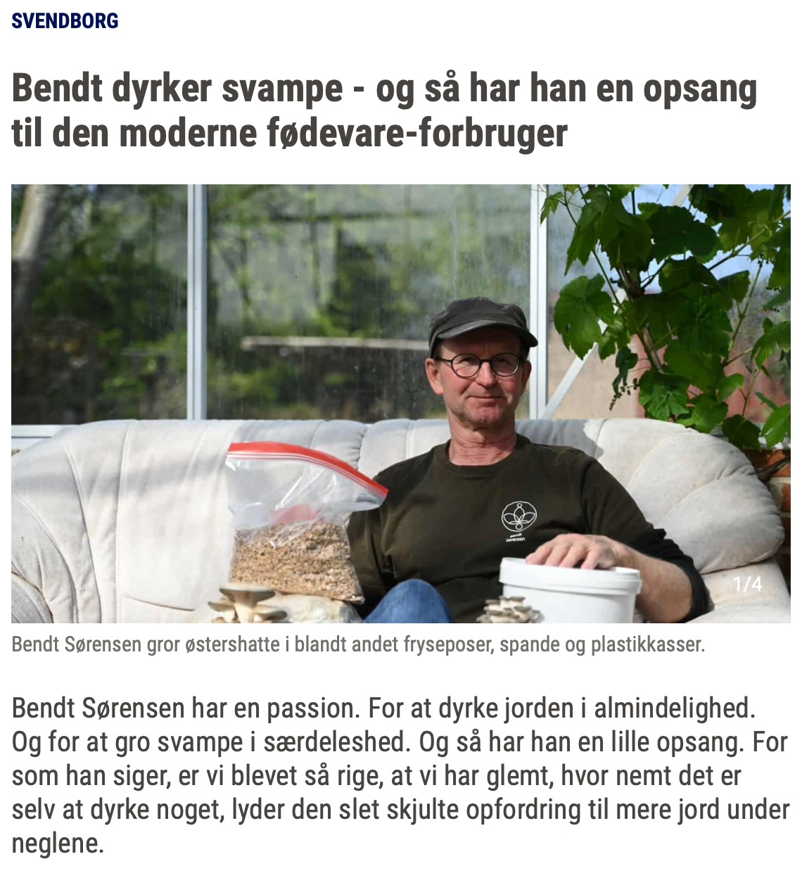 Fyens artikel