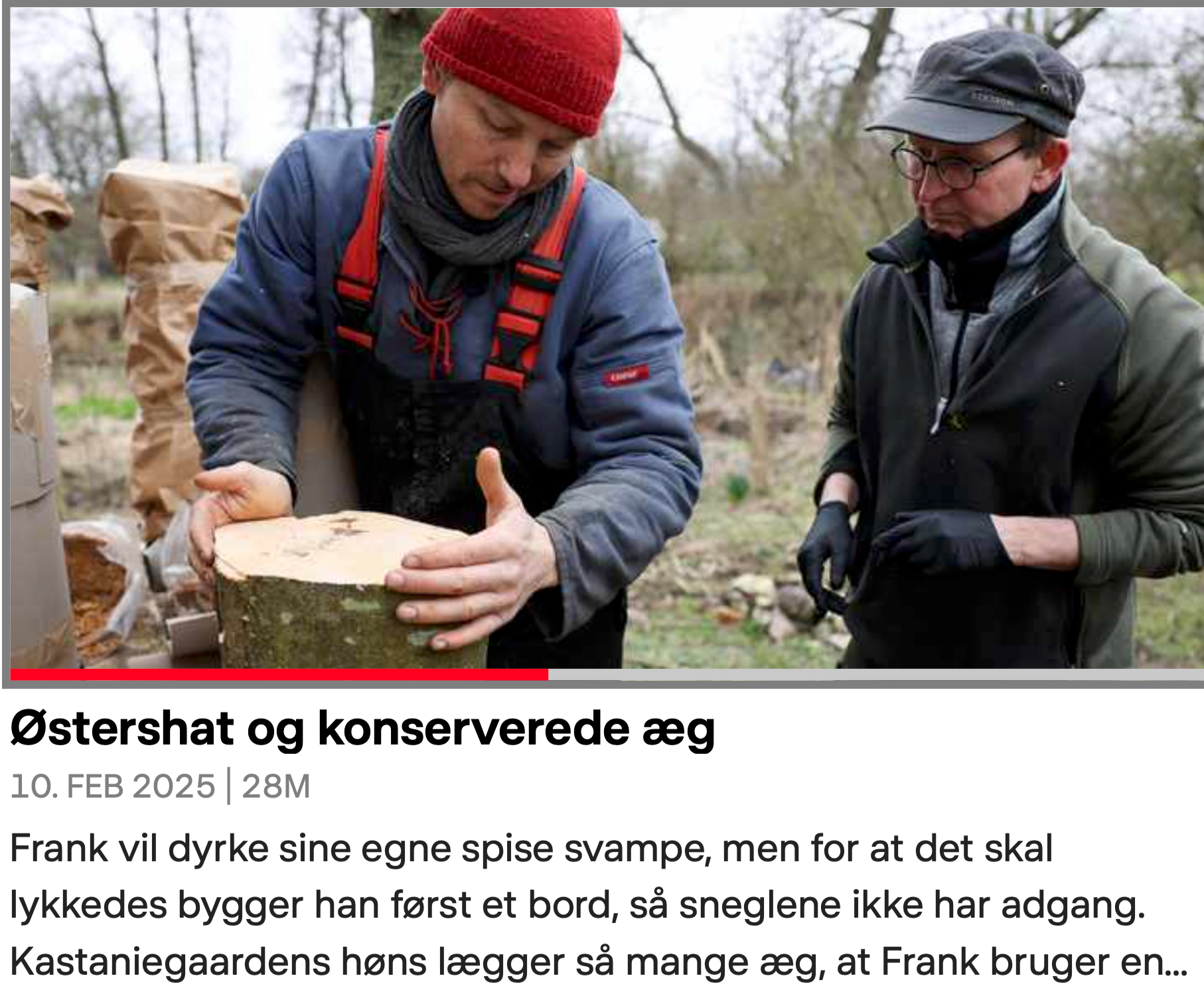 Frank og Kastaniegården del 1