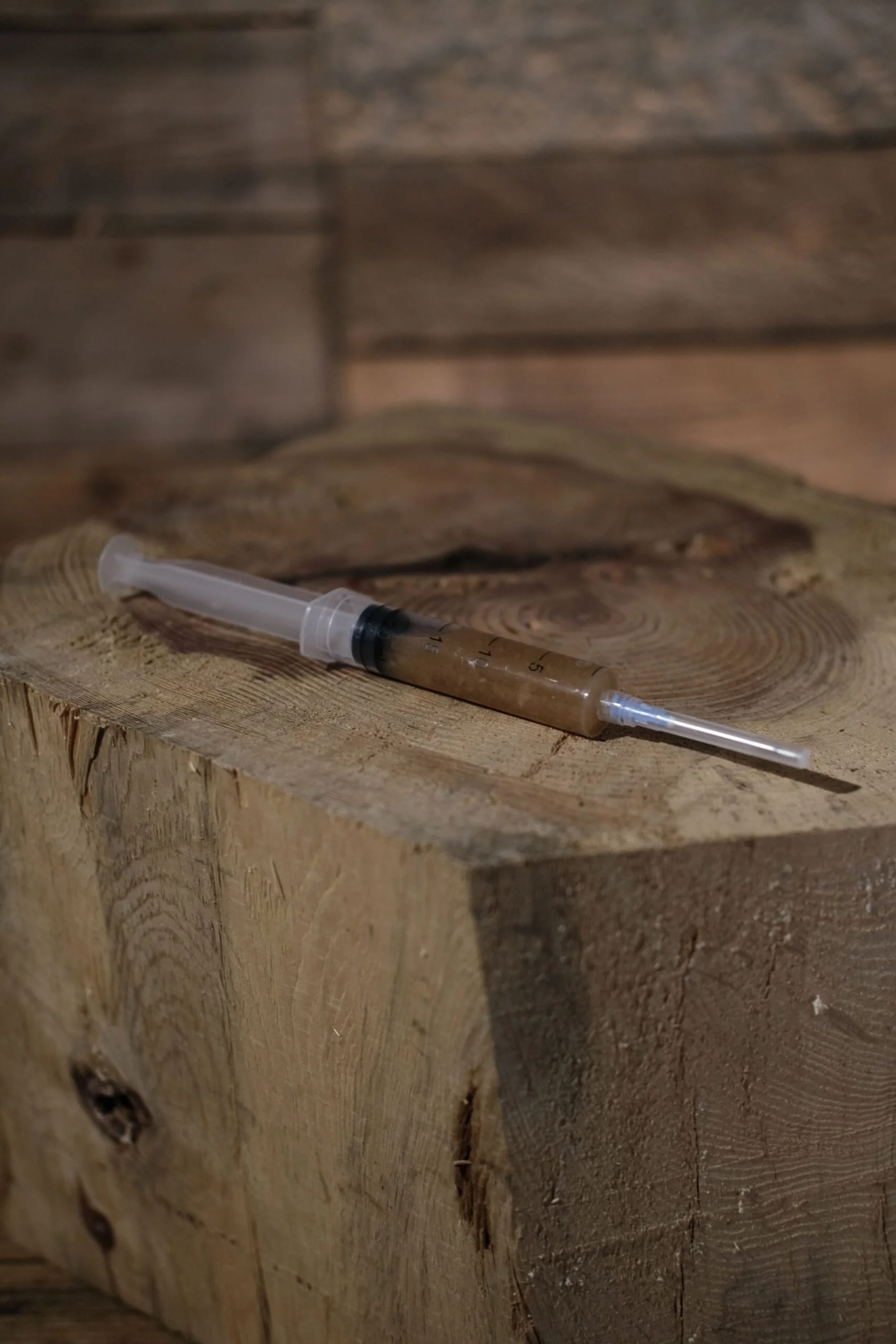 Flydende mycelium. Kontakt Svamp Shoppen: mail:  kontakt@svampeshop.dk