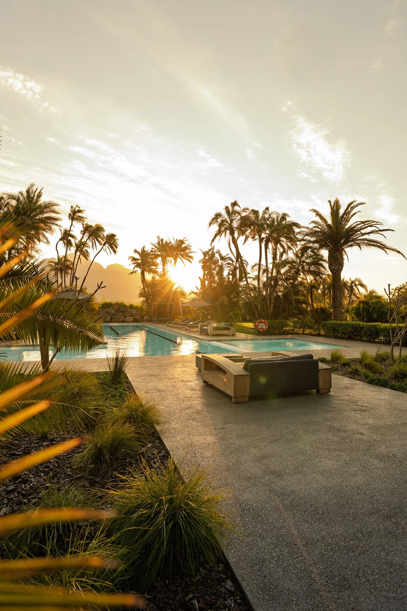 A backyard pool area at sunset with palm trees, lounge chairs, and lush greenery.