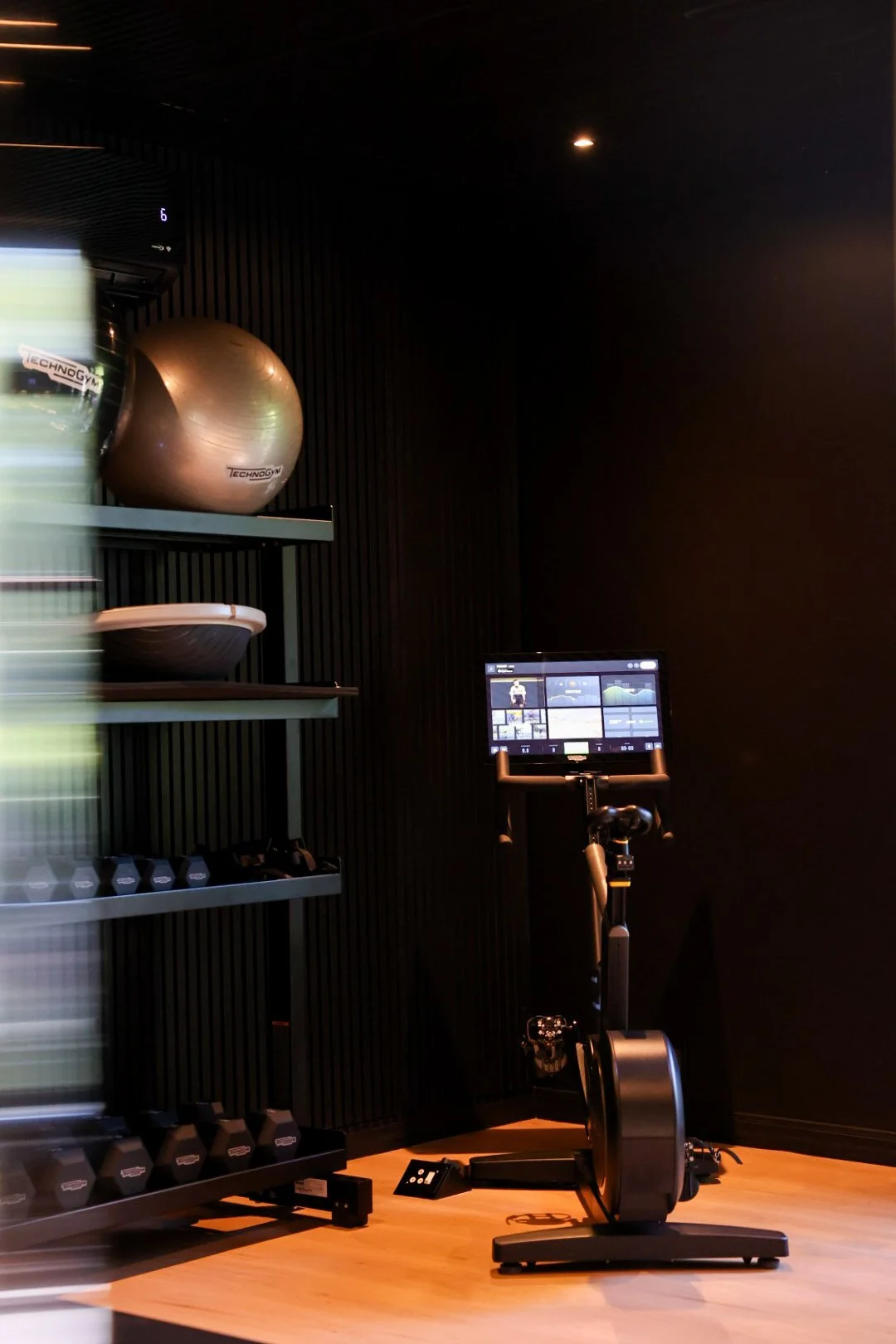 Technogym fitness equipment and workout area at Ludus Magnus, featuring premium gym facilities in Franschhoek.