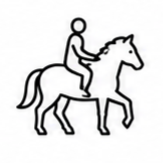 Horse riding experience in the Franschhoek Winelands