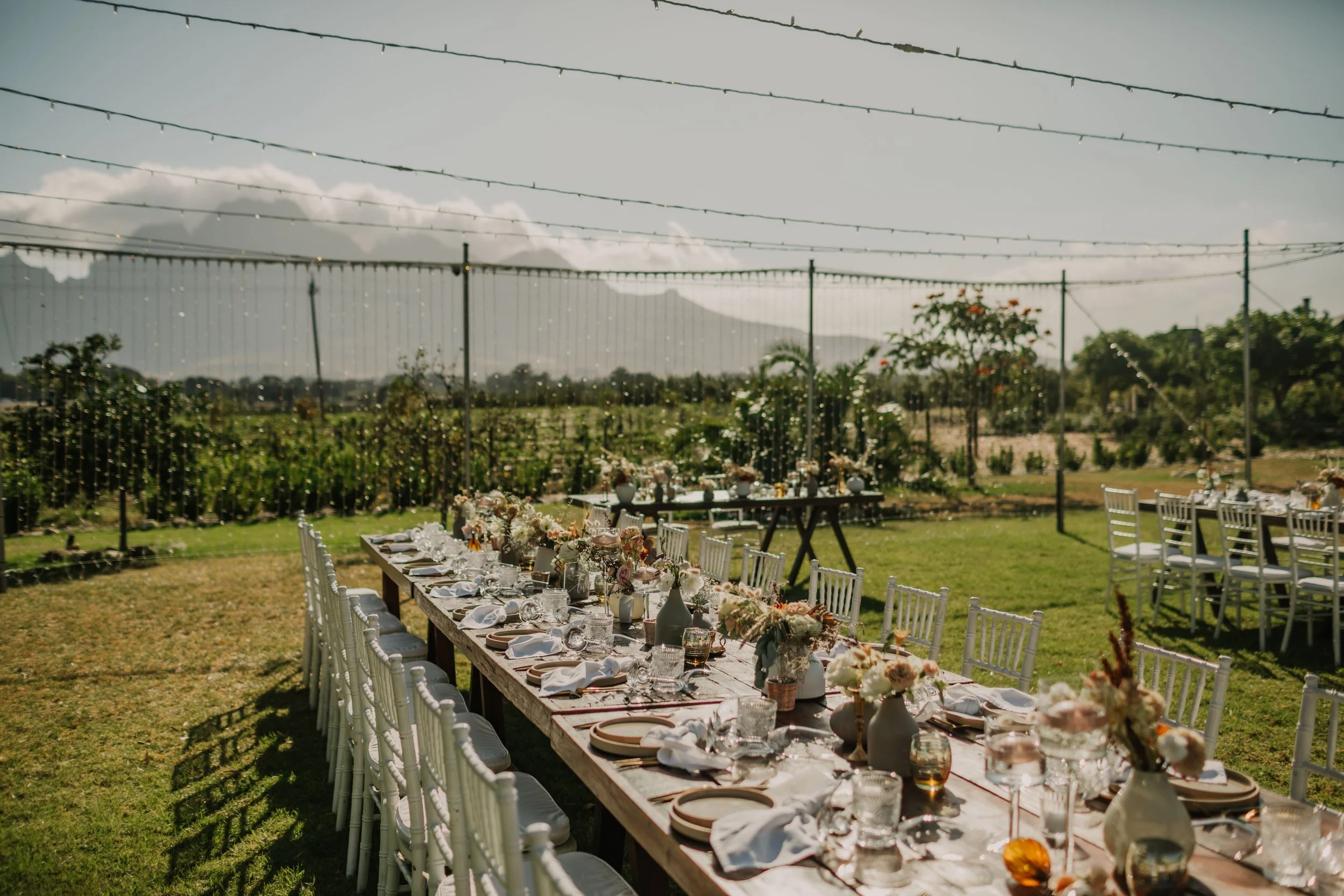 Long outdoor dining table set with white plates, glasses, napkins, and floral centerpieces on a grassy field, with additional chairs and tables in the background, under a string of lights, with a mountain and cloudy sky in the distance.