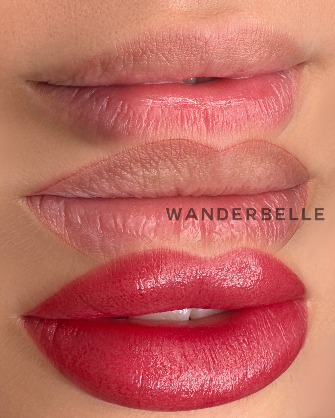 candylipsaparis5.png