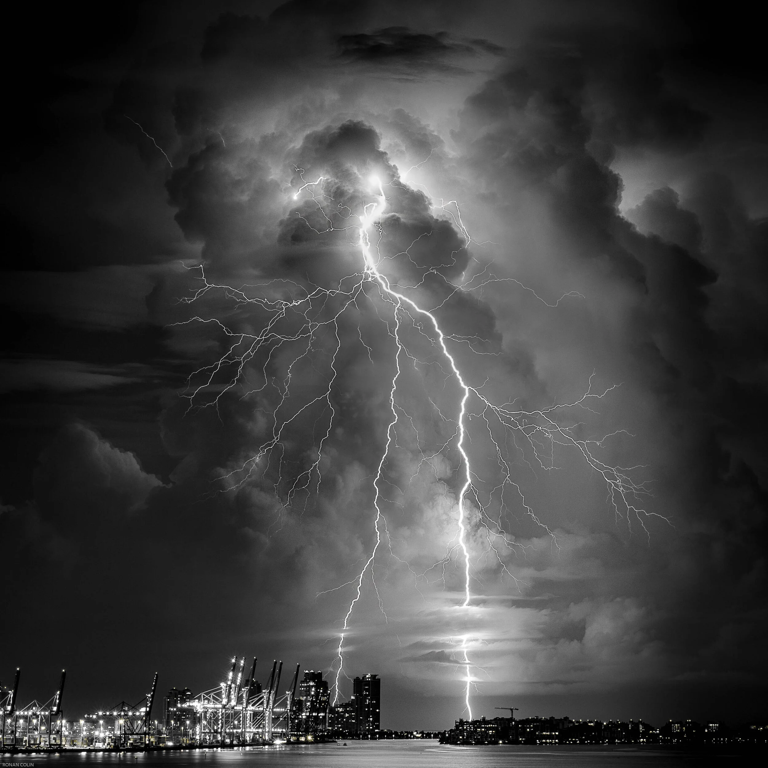 Tree of Light - Lightning - Ronan COLIN.jpg