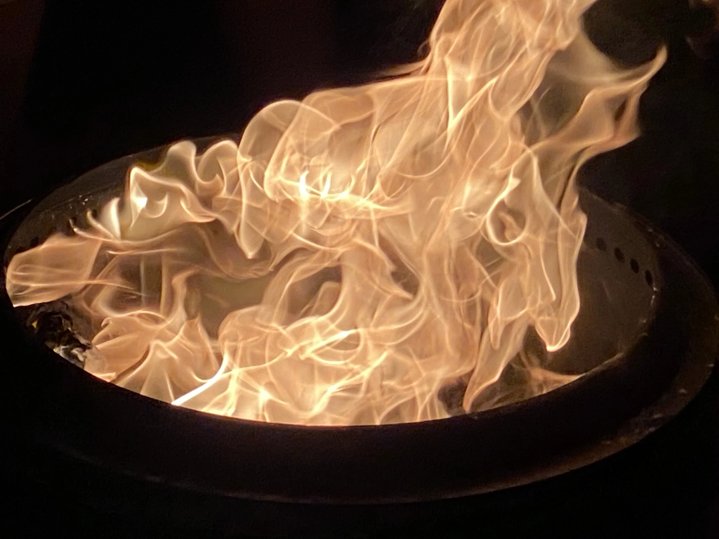 Photo by Xavier Jaldin Hartsough