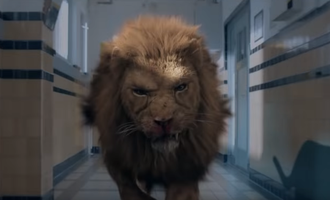 prey-lion.png