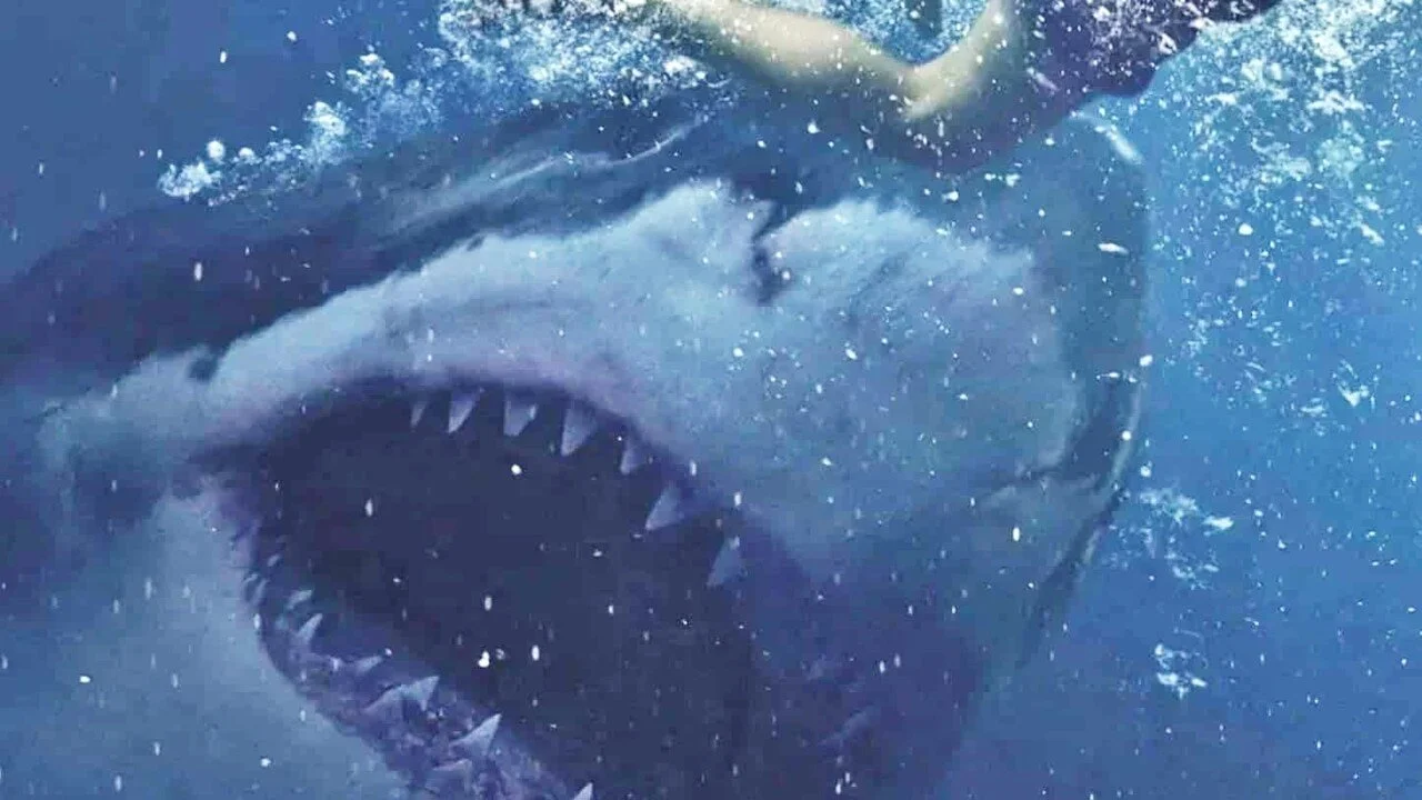 [Film Review] Great White (2021)
