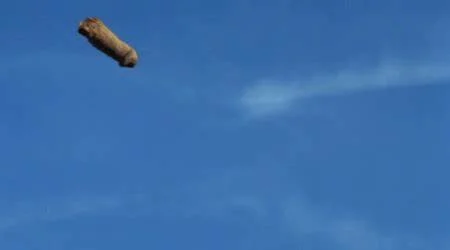 [Editorial] Penis Severing in Horror