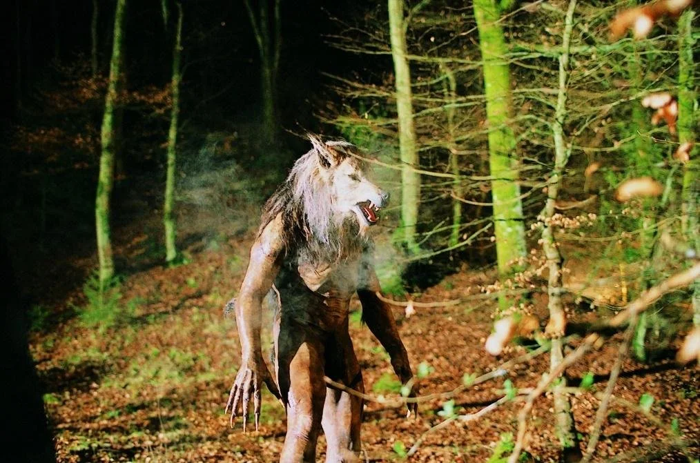 [Editorial] Top 15 Horror Films with Werewolves