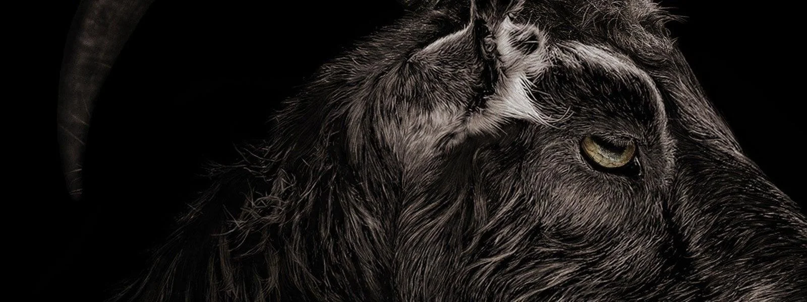 [Editorial] Best 10 Horror Films of the 2010s