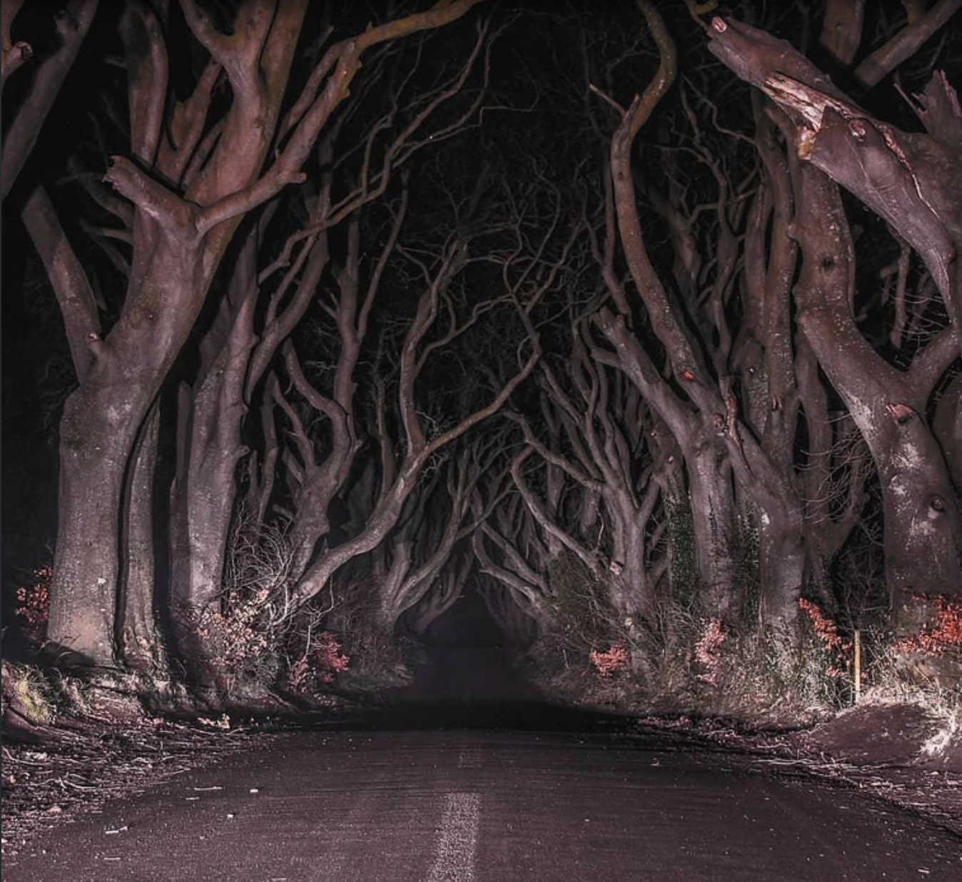 [Editorial] I’m Your No.1 Fan: Mrs. Todd’s Shortcut and the Road to Empowerment