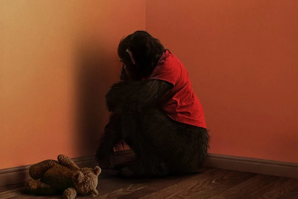 [Film Review] Primate (2026)