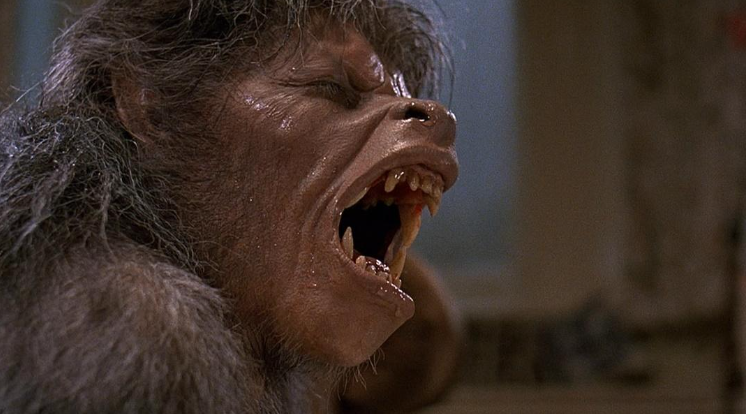[Editorial] 11 Best Werewolf Transformations in Horror Films — Ghouls ...
