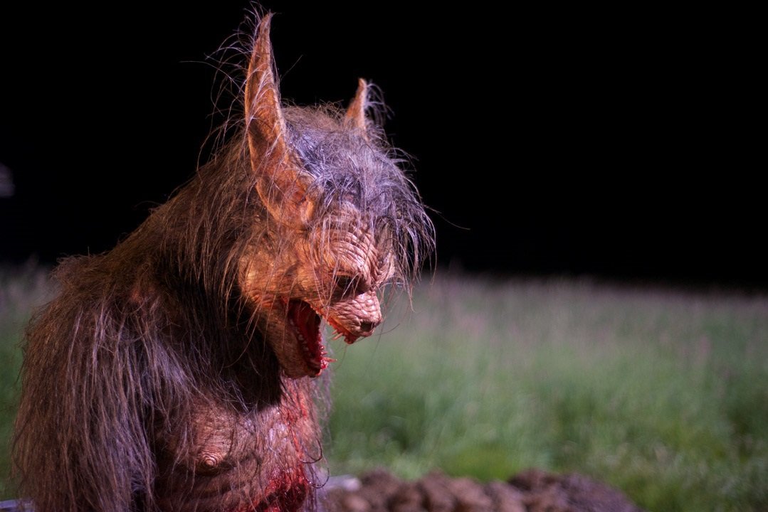 The WODC's Top 5 Favorite Werewolf Transformations — The Write or Die Chicks