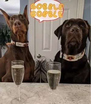 Thanksgiving Day Dog Collars