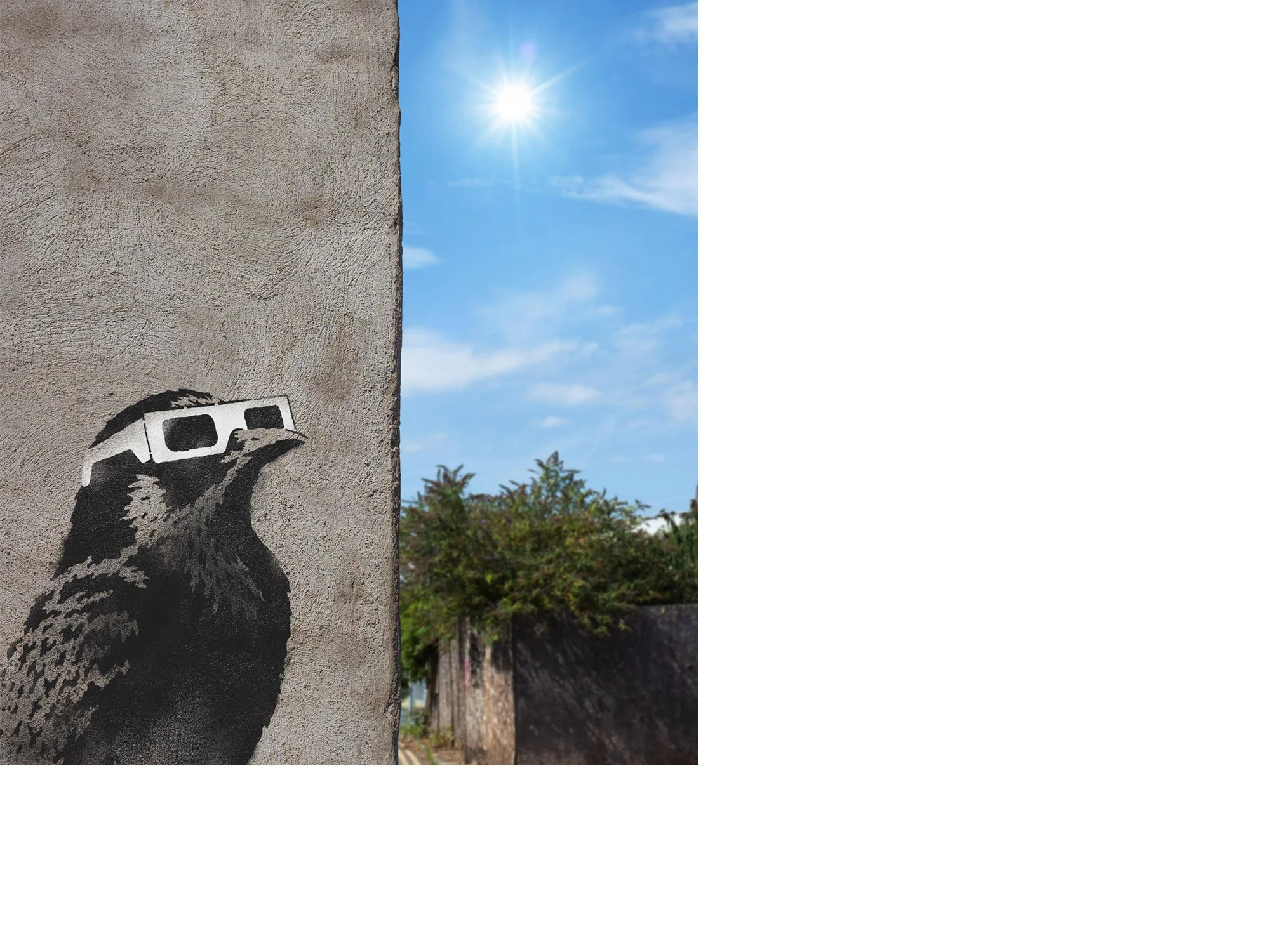 bird_watching.jpg