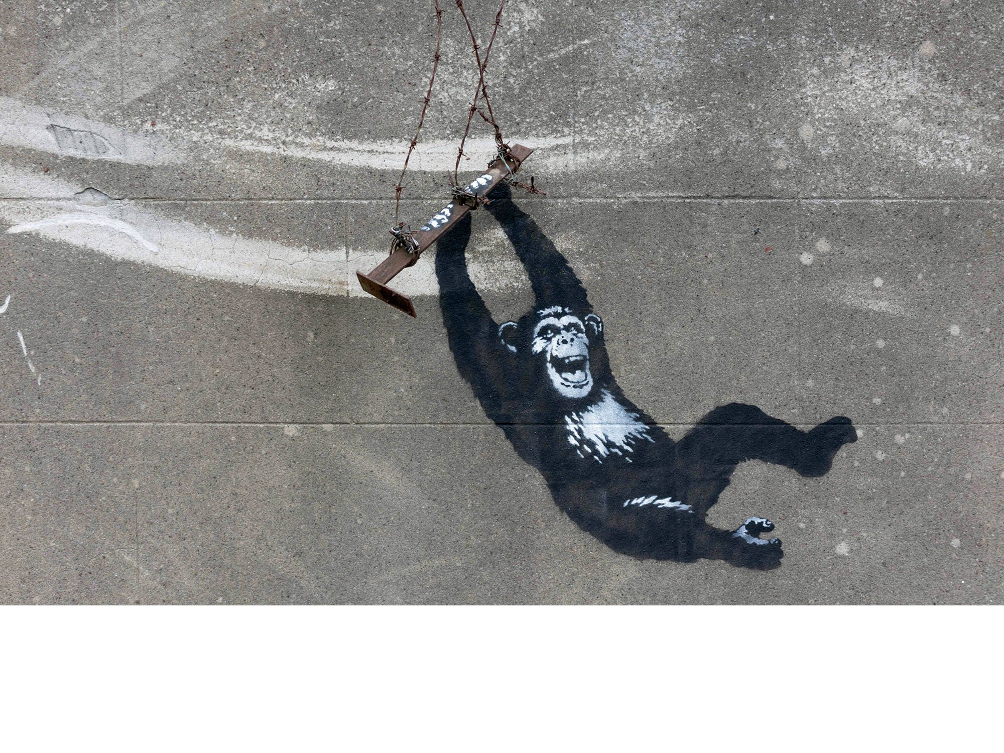 monkey_around.jpg