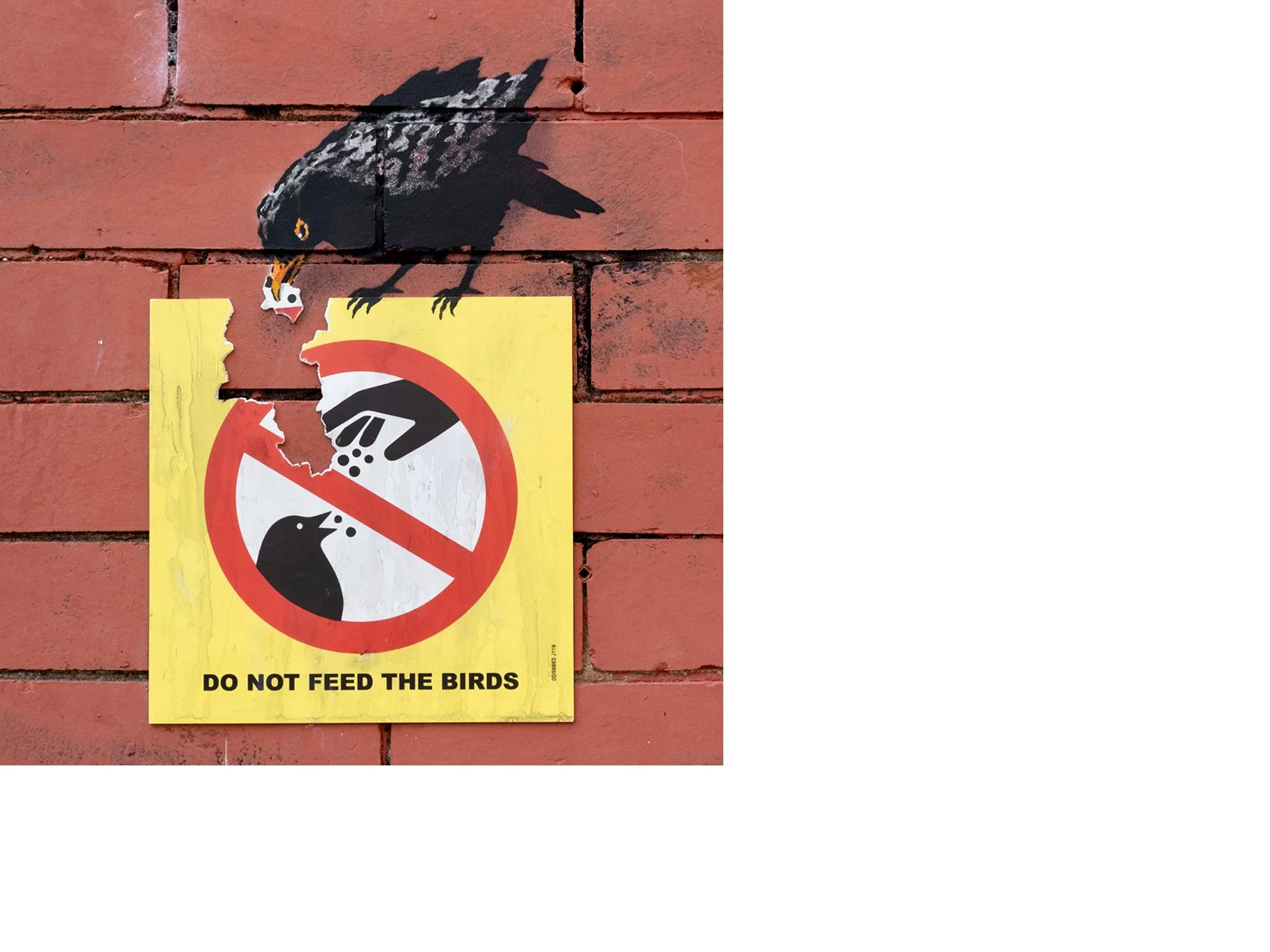 do_not_feed_the_birds_close_up.jpg
