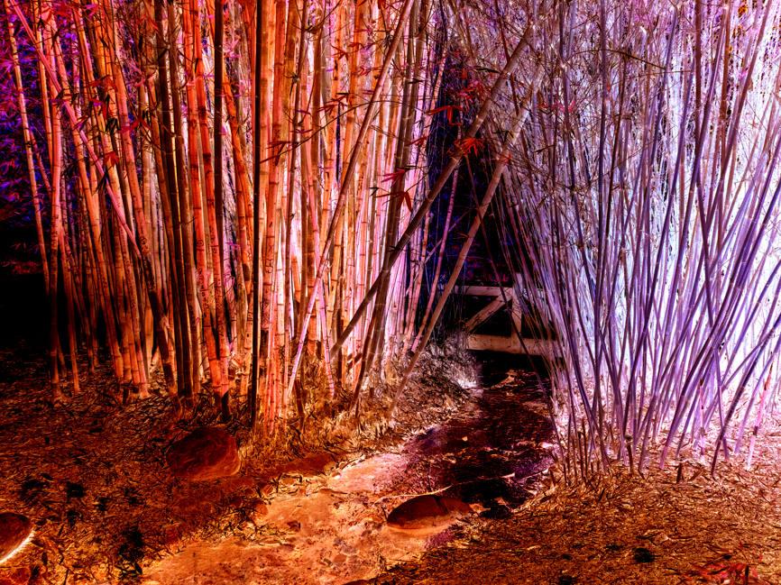 Bamboo.png