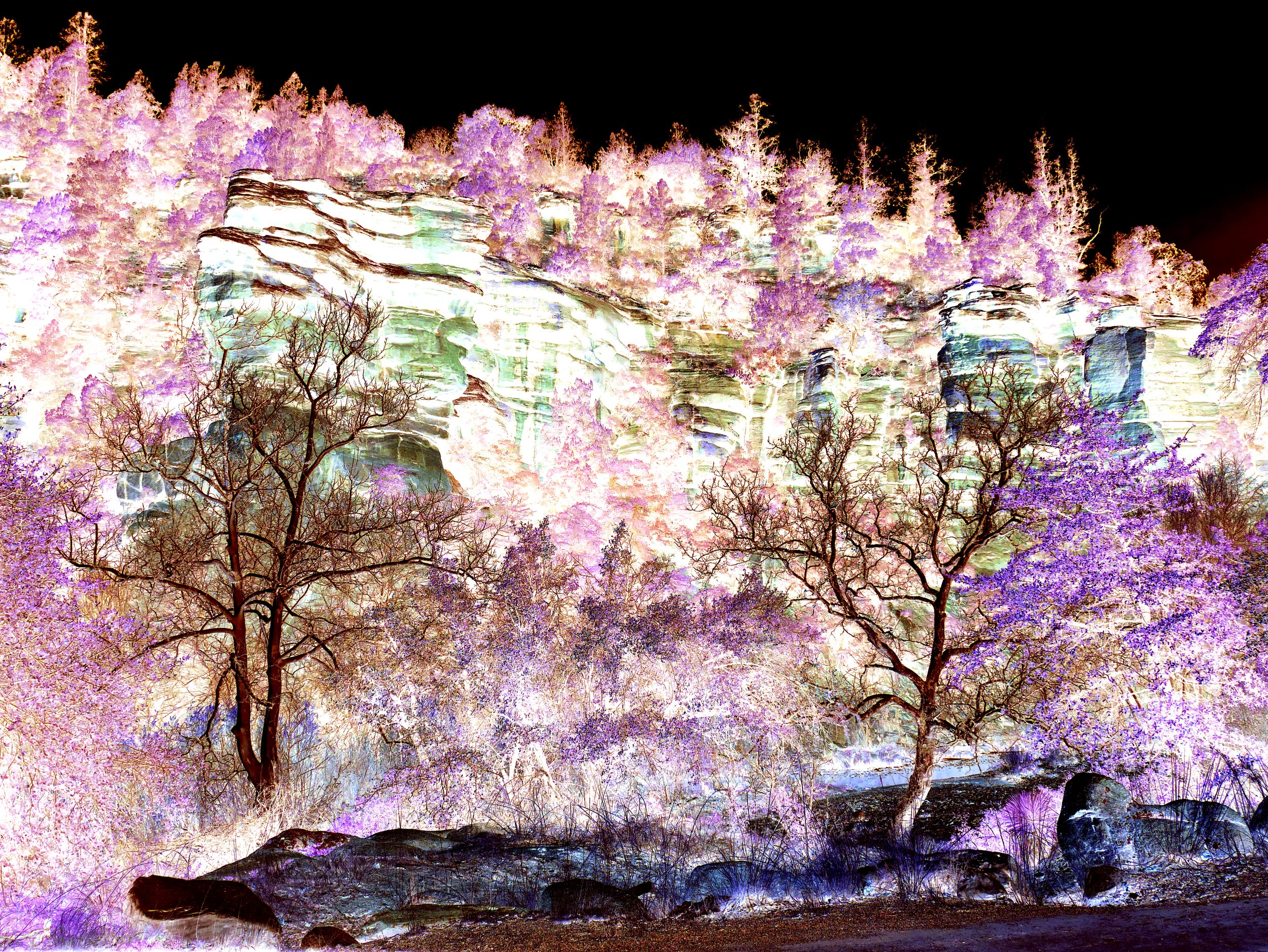 Pine Arizona.jpg
