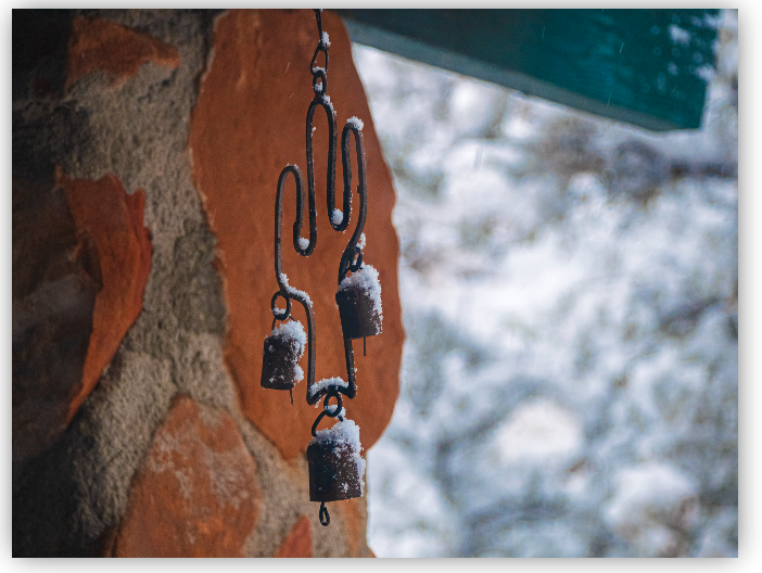 "Saguaro Snow" Photo in online Group exhibition "Seasons: Winter 2026"