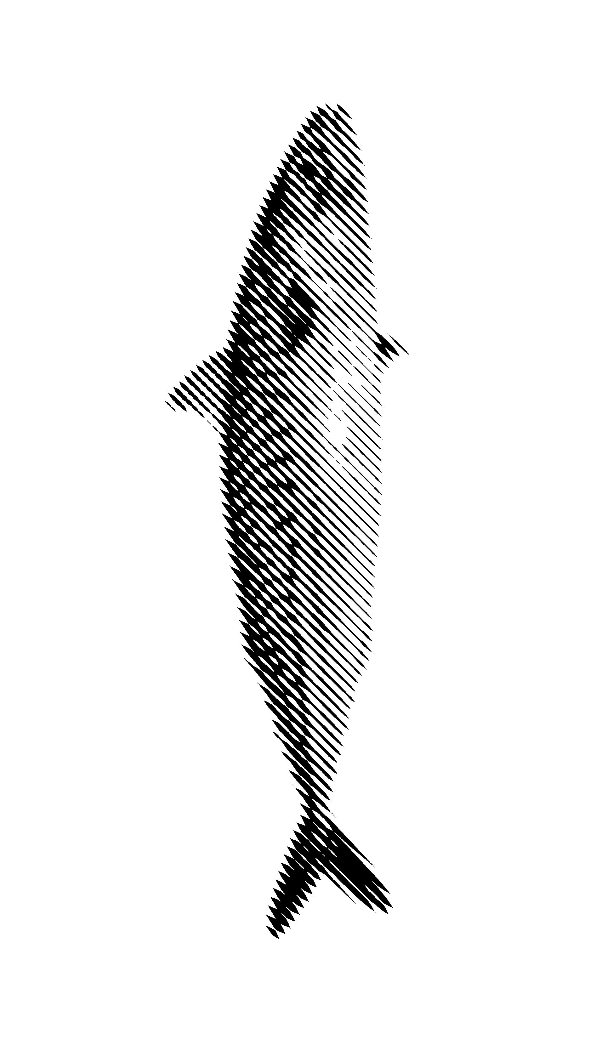 20260508 fish2.png