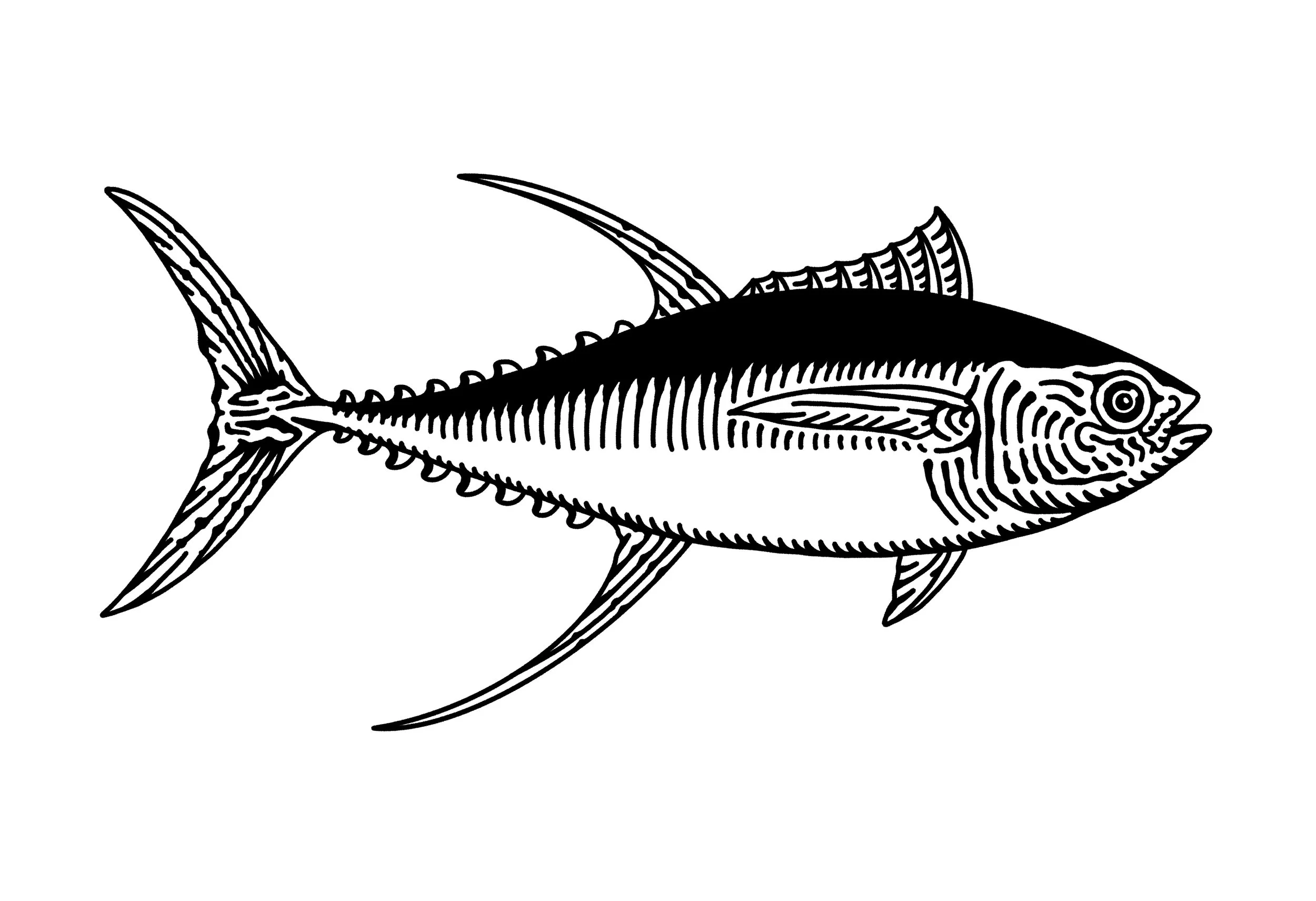 Untitled_Artwork 110.jpg