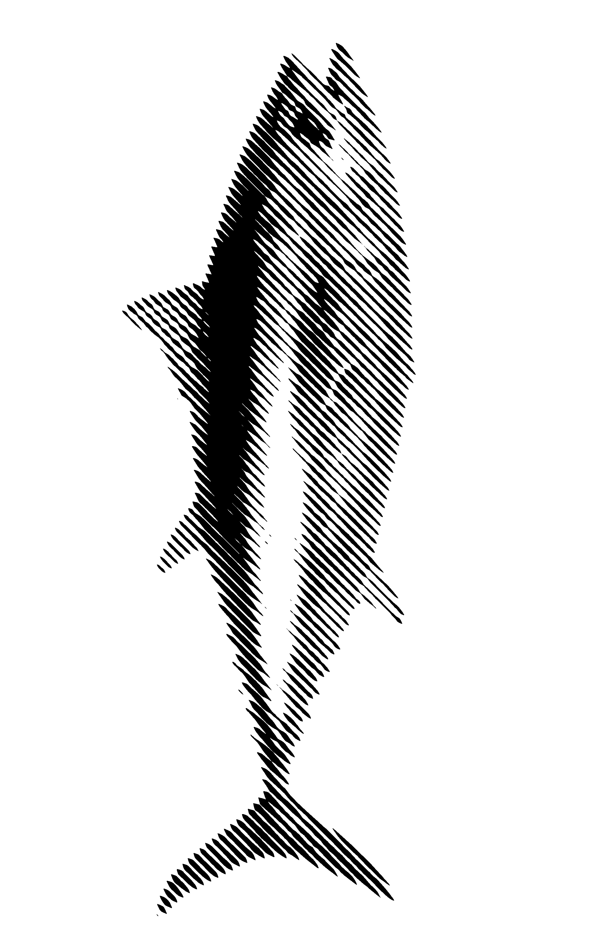 20260508 fish sq.png