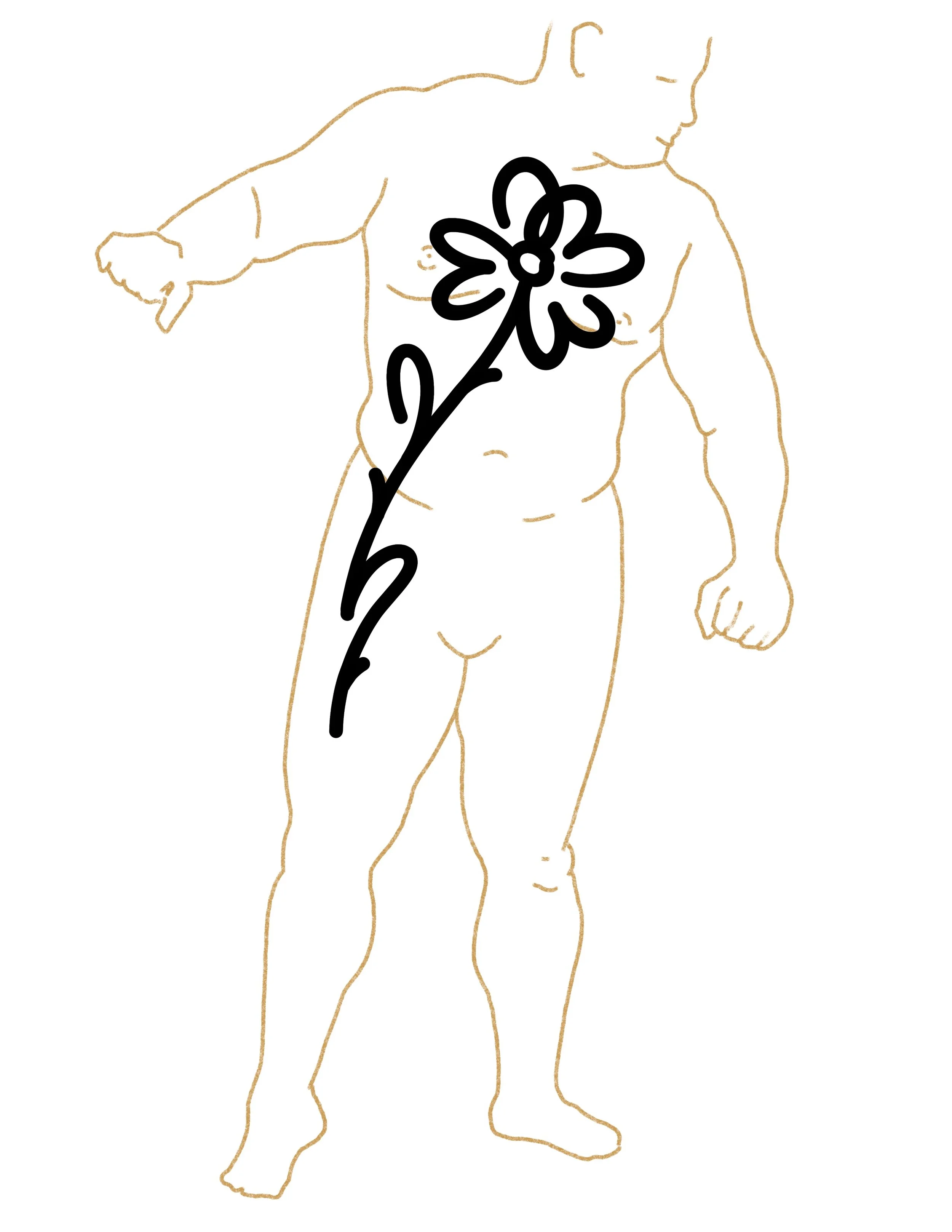 Untitled_Artwork 2 3.jpg