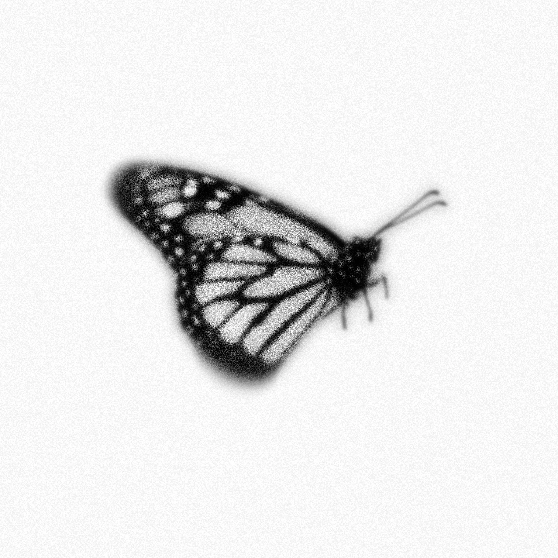 Artboard 2 copy 2.jpg