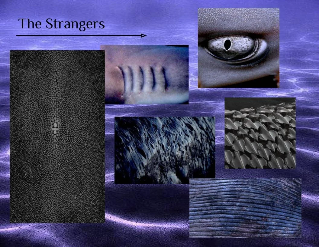Dark City Character Boards-12.jpg
