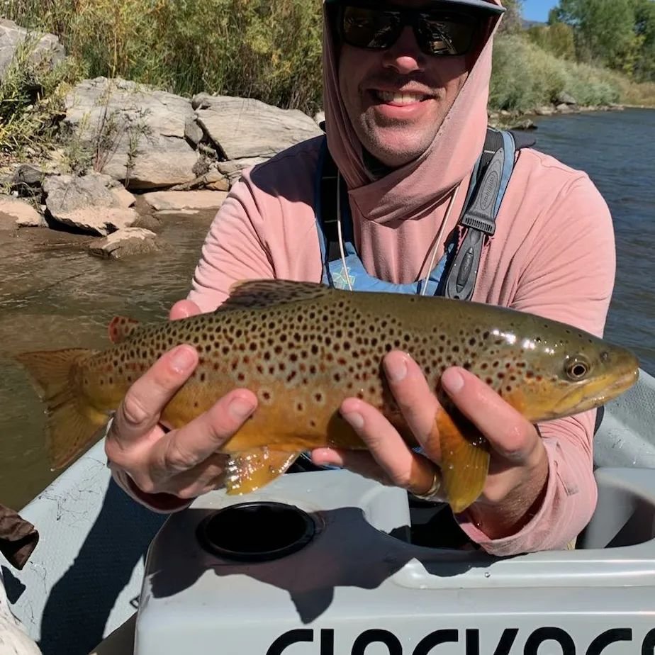 Guides day off with Mark Boyd!! With the fall colors in full swing, this is easily one of our favorite times of the year to be guiding.  Call to book your trip today!
.
.
.
.
.
.
.
.
.
.
.
.
.
#flyfishing #catchandrelease #keepumwet #browntrout #rain